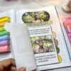 LIVRINHO CULTURA INDÍGENA - Image 3